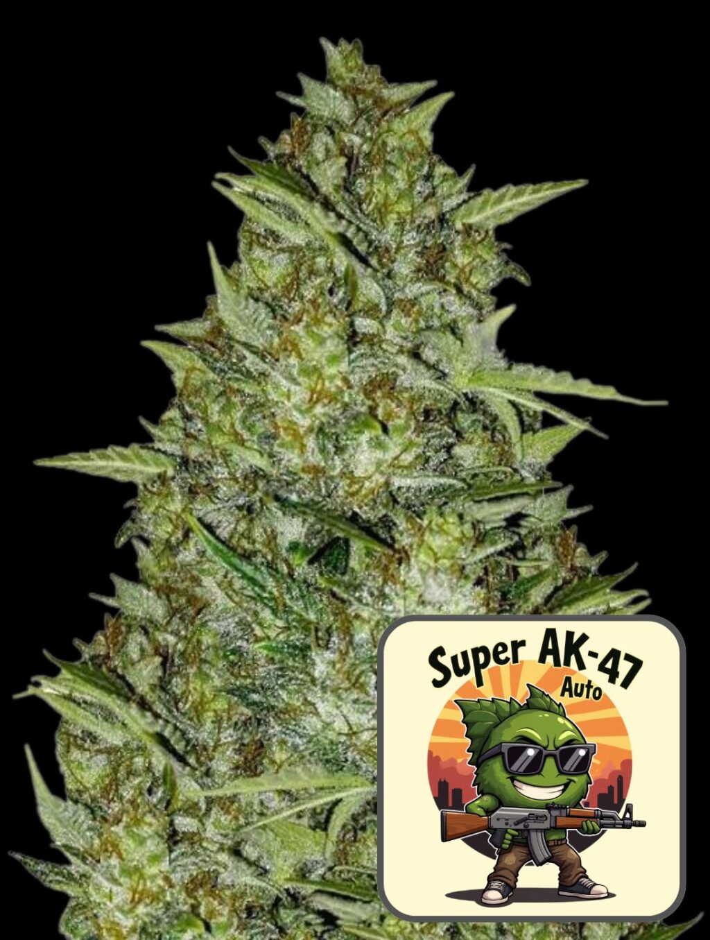 Super AK-47 Auto - Super frön
