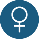Feministiskt