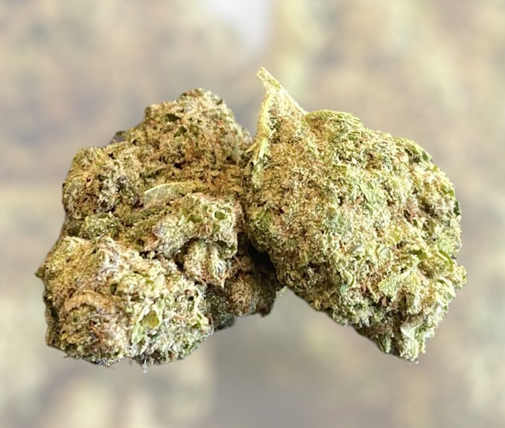 CBD-blomma - Super Bubblegum XXL