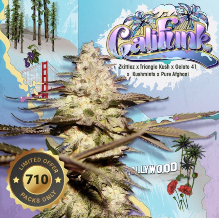 CaliFunk 5+3 frø (Feminiseret) Limited Special Pack - T.H. Seeds