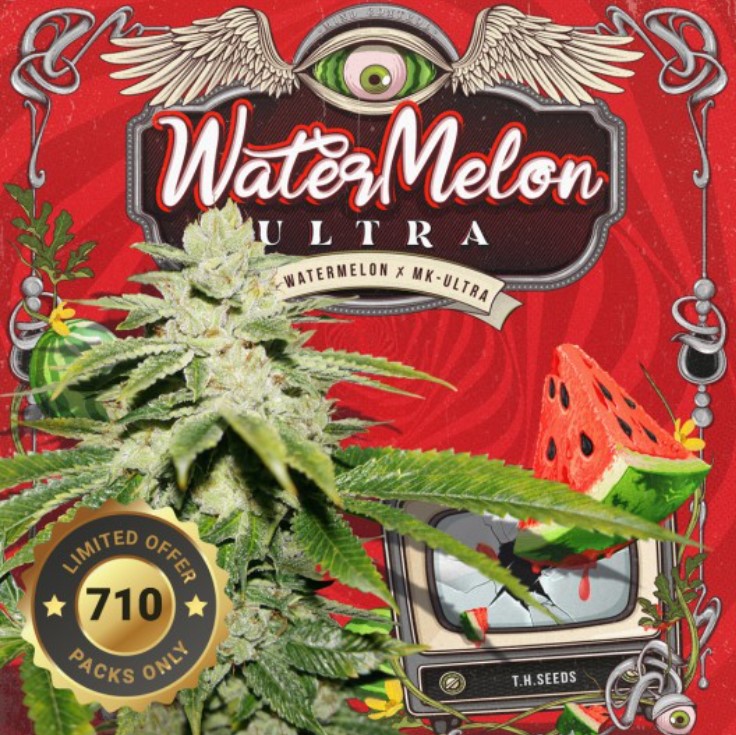 WaterMelon Ultra 5+3 frø (Feminiseret) Limited Special Pack - T.H. Seeds