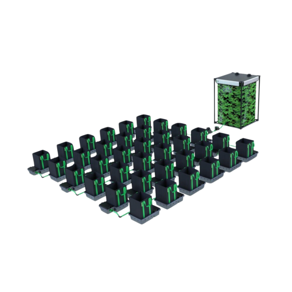 Alien - Easyfeed 36 kruka 16L