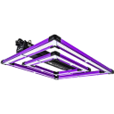 Liljor